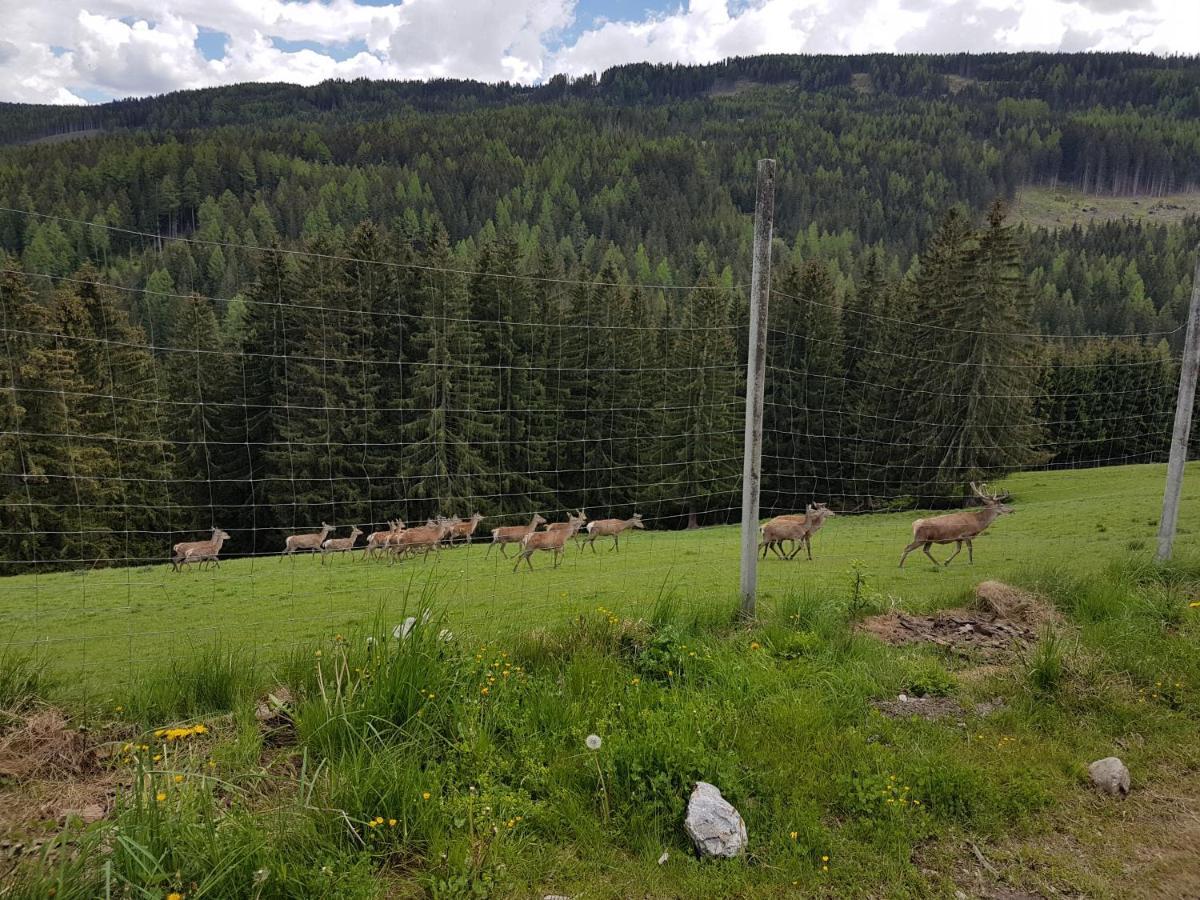Residenz Monica Top 6 Sankt Margarethen im Lungau Eksteriør billede